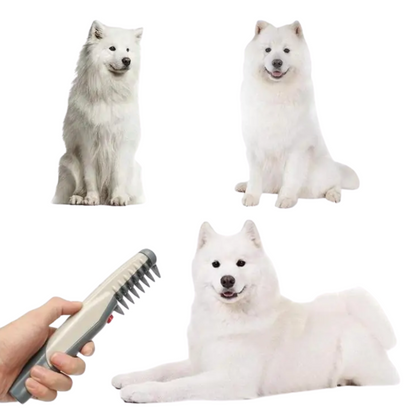 Electric Dog or Horse Grooming Brush