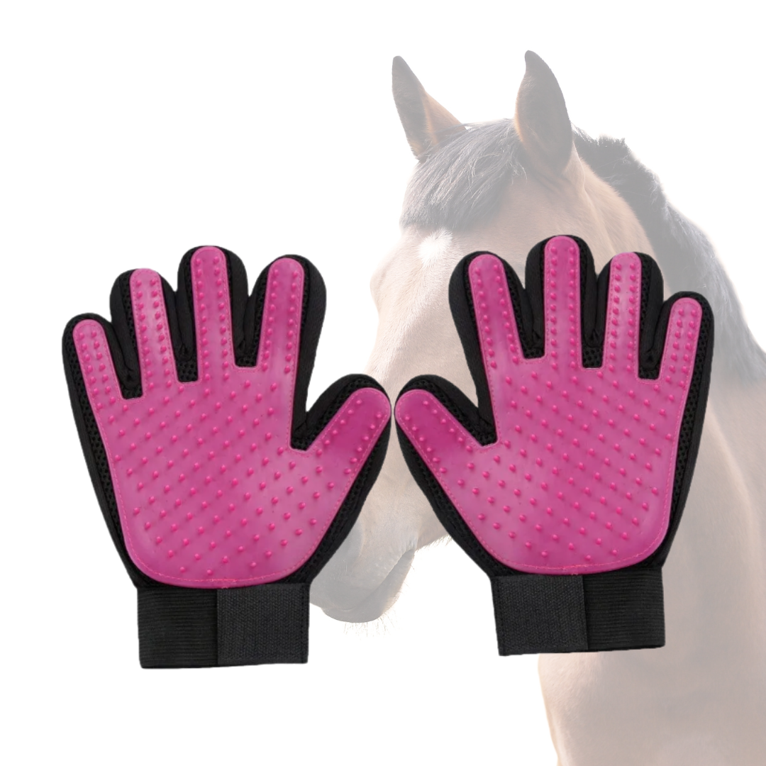 Grooming Gloves - For your horse or dog