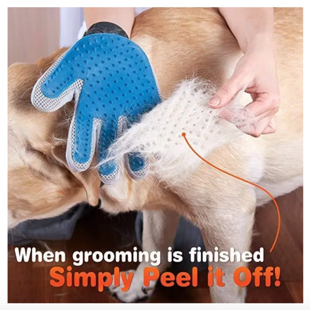Grooming Gloves - For your horse or dog
